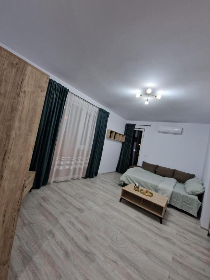 Apartament Modern Cu O Camera Apartamento Timişoara Exterior foto